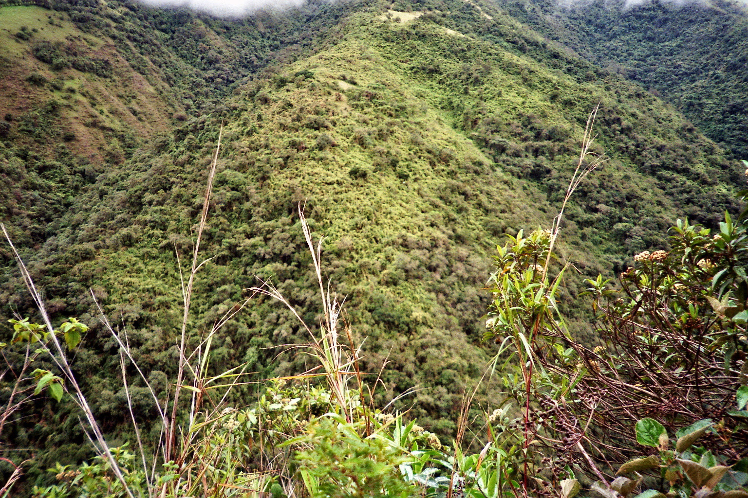 Full Day Mindo aventurero